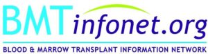 BMT Infonet Logo